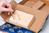 Fossil Excavation Kit