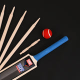 Junior Cricket Set